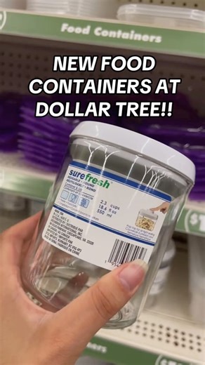 NEW FOOD STORAGE CONTAINERS AT DOLLAR TREE!! #dollartree | Dollar Tree Dollie