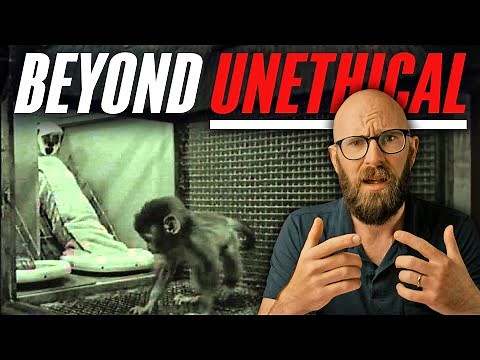 Harlow's Pit of Despair: Cruel, Shocking Psychological Research