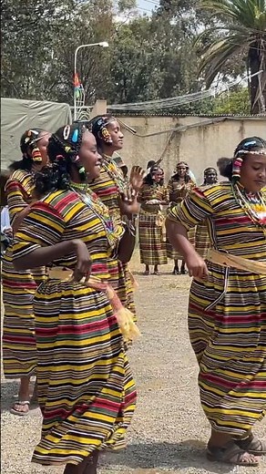 Dancing in Eritrea! #shorts #eritrea