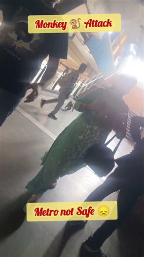 Metro is not Safe 🤣🐒 #delhimetro #trendingvideo #viralreels