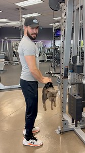 #tricepworkout #cablepulldowns #triceps #anytimefitness #fypシ #frenchie #anytimefamily #gymmotivation #kendricklamar #anytimefitnesseaton | Anytime Fitness Eaton