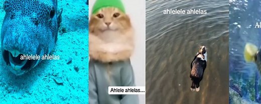 Ahlelele Ahlelas | Know Your Meme