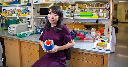 Yang (Claire) Zeng on Developing DoriVac