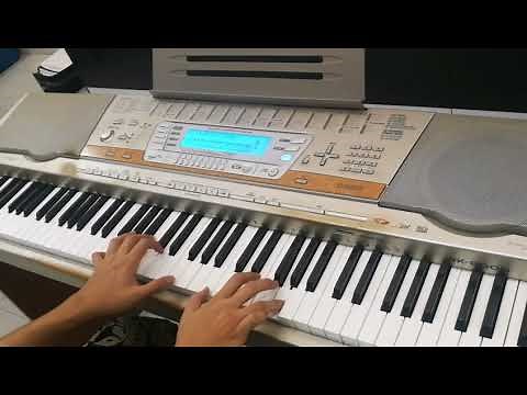 Casio wk 8000