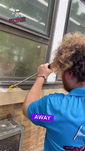 Professional Pressure Washing Services from SKYREX