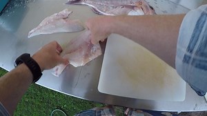 23K views · 197 reactions | There are many different ways to fillet a fish but the basics remain the same. Sammy Hitzke Fishing runs us through his preffered way and throws in some cracker tips to make the most of your fresh catch. Check it out! | BCF - Boating, Camping, Fishing | Facebook