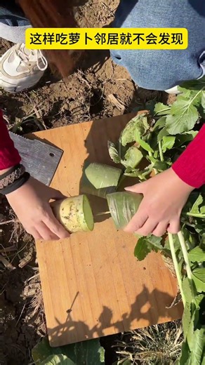 这样吃萝卜就不会被邻居发现了Hilarious daily life of a rural couple, guaranteed to make you laugh every day.