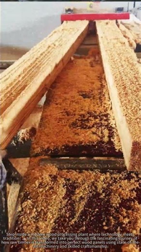 How This Factory Processes 100 Wood Panels Every Hour! 🌲