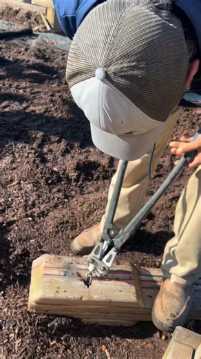 74K views · 365 reactions | NEW YEAR, NEW PLAYGROUND  We’re kicking...