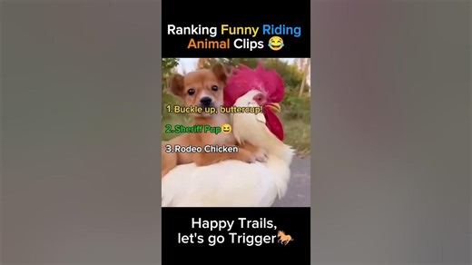 Ranking the Funniest Riding Animals 😂