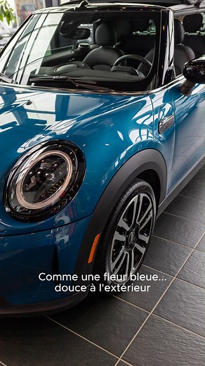Le meilleur des deux mondes à votre portée. | MINI Ville de Québec