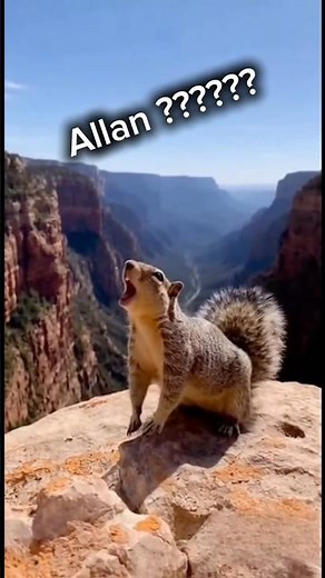 ALLAN IS that you? 🐿️ 😆 #shorts
