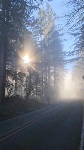 #art #drawing #seattle #ocean #relaxing