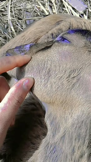 Noor350392 ♥️♥️♥️ on Instagram: "Reel Gold Noor saba khatun facebook connect internet connection ♥️"