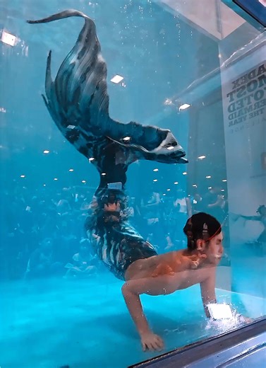 Mermen Exploring Tight Spaces in Fish Bowls