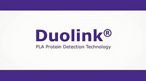 Duolink® Proximity Ligation Assay