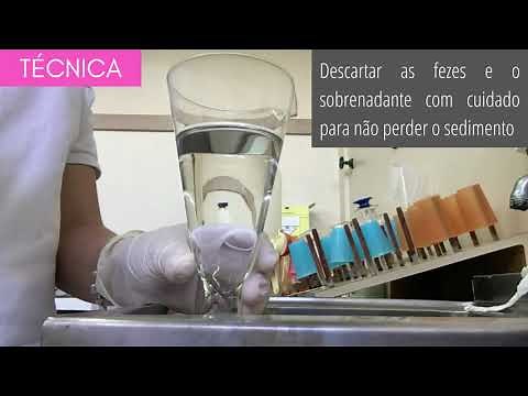 Exame Parasitológico de Fezes - Baermann modificado