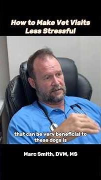 How to Make Vet Visits Less Stressful | Marc Smith, DVM, MS