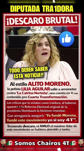 DIPUTADA TRAIDORA AL PUEBLO #amlo #claudiasheinbaum #mexico #como #cuándo #4transformacion