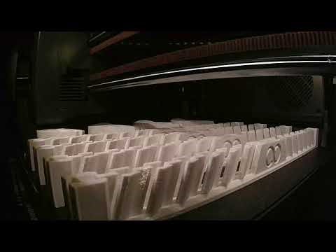 Time Lapse of the Elegoo Riser being printed