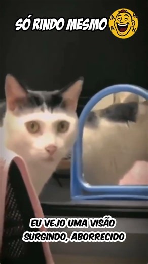 Música com cenas hilárias. Assuma o controle e assista. #musica #humor #comédia