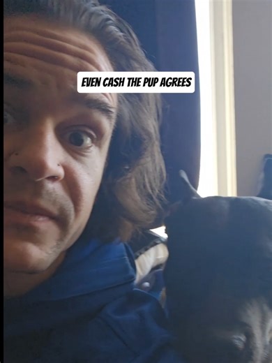 Full Behind The Scenes... Larry's Missing...🦝👀😂 @Testing Limits #prank #comedy #funny #publicreaction