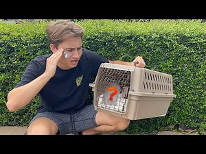 RESCUING BABY ANIMAL ! WHAT IS IT ?!
