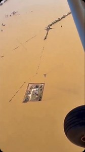 3.3K views · 284 reactions | Una familia de Tennessee logró proteger...