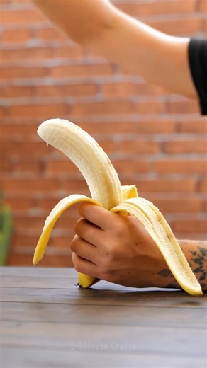 1.6M views · 6.7K reactions | Grow, hack, repeat with time saving gardening hacks | 5-Minute Crafts | Facebook