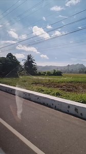 The journey to chocolate hills is a long trip from Ticugan, Loon to Carmen, Bohol. And it was worth the trip since not only the chocolate hills but also the view along the way was truly stunning. #highlightsシ゚ #naturelovers #Bohol #friends #nonfollowersviewers | Caroline Ching Duero