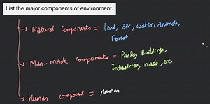 List the major components of environment.... | Filo