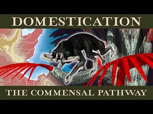 From Predators to Pets | Alien Anthropology