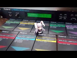 U MIGHT BE THE 1 (demo) - Roland U-220 RS-PCM Sound Module Demo (You Might Be The One)