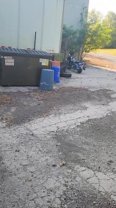 5.7M views · 168K reactions | Here’s me commentary on rescuing raccoons ️ | Ozzy Man Reviews | Facebook