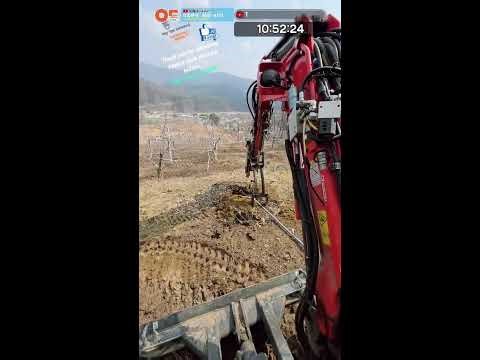 사과나무 묘목 구덩이 파기 / Let's dig a hole for apple tree seedlings