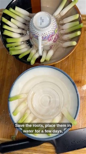 Grow Endless Scallions & Repel Garden Pests Naturally 🌱🐛 #gardening #scallions