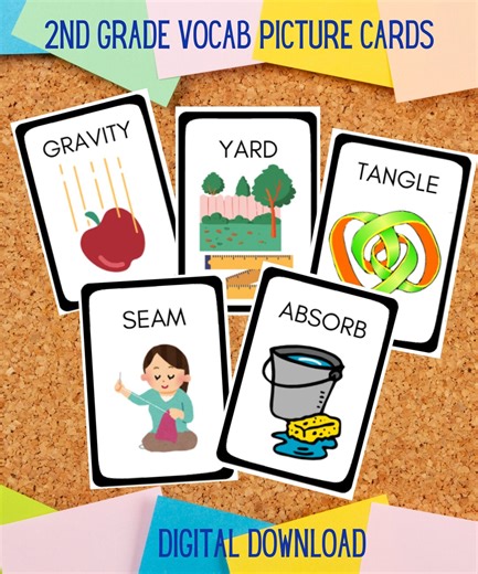 2nd Grade Vocabulary Picture Cards – Homeschool Wordly Wise (PDF Download) - Etsy