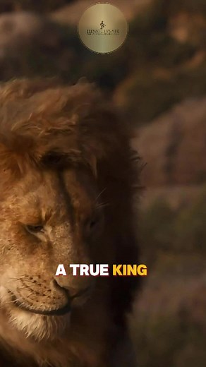 Mufasa's Wisdom: Inspirational Quotes from The Lion King