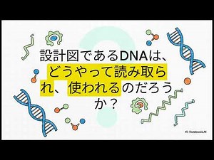 生物基礎10：DNAの構造を完全攻略！ヌクレオチド・塩基の相補性・二重らせんまで徹底解説