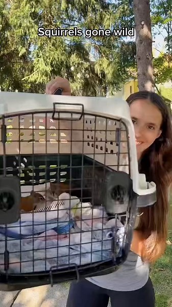 Comment if you’d like to see their new home! 🐿