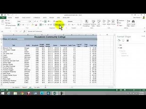 Excel 2013 Practice Test