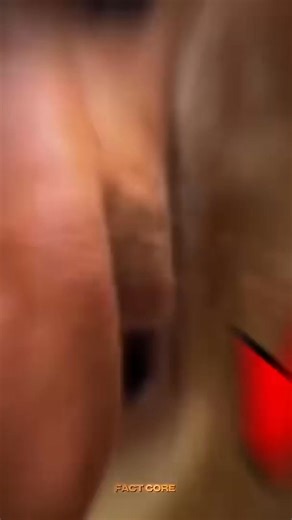 Top 5 Funniest & Creepiest Animal Noises That Shouldn’t Even EXIST! #voiral #top #usa | Fact Core | Facebook