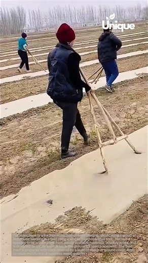 Traditional farming methods: manual seed planting techniques