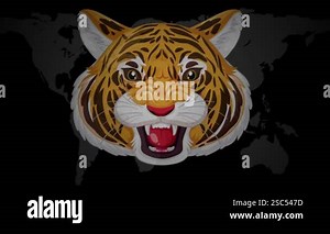 Animated tiger head roaring on a dark background Stock Video Footage - Alamy