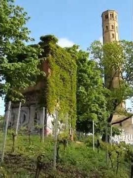 Berlin Secret Tip: Hardly Anyone Knows About This Urban Outdoor Gem! 🌿