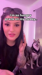 2.5M views · 121K reactions | I don’t think she was impressed.. #huskies #pets | Maya The Husky | Facebook