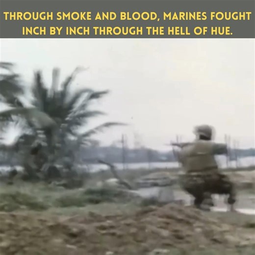 160 reactions · 15 shares | Through smoke, mud, and blood, U.S. Marines fight inch by inch in the hell of Hue. Every step is survival, every shot a battle against death itself. READ MORE  #VietnamWar #MarinesInCombat #PerfumeRiver #BraveryUnderFire #WarChaos #GruntsInAction #NeverForgotten | Echoes of Valor | Facebook