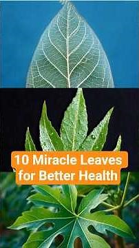 The TOP 10 Healing Leaves You Need to Know About NOW