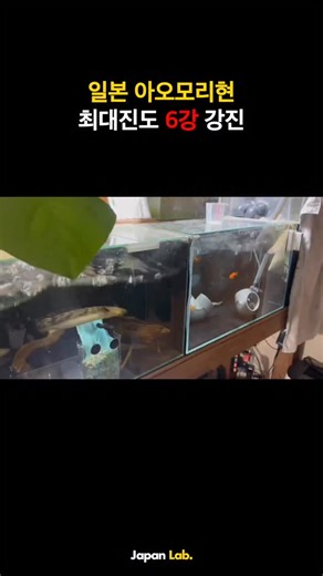 Japan Lab | 재팬랩 on Instagram: "일본 아오모리현 최대진도 6강 강진 발생 #일본 #아오모리 #지진 출처: X @ not_Rrider"