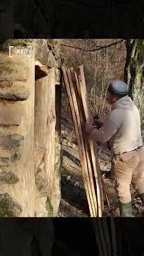 Build a Home for Survival in the Forest Without Spending a Single Penny | By ‪@LesnoySpeed‬